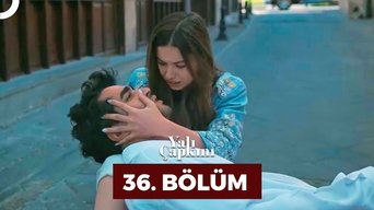 Episódio Episódio 36 da série O Canto do Pássaro