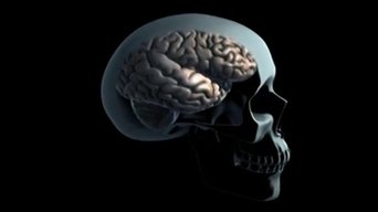 Drogas y cerebro - S1E01
