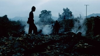 Гармата Лали (2008)
