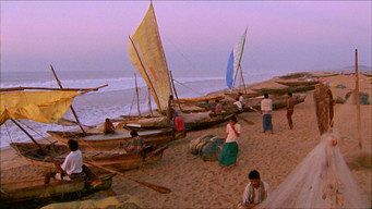 #24 Vanaja