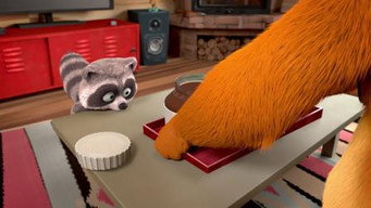 Sniffer Raccoon