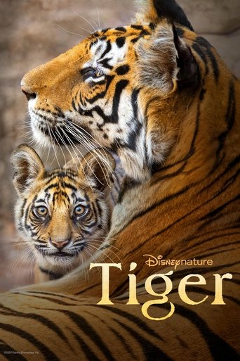 Tiger (2024) Tiger (2024)