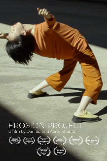 Erosion Project — Pôsteres 2