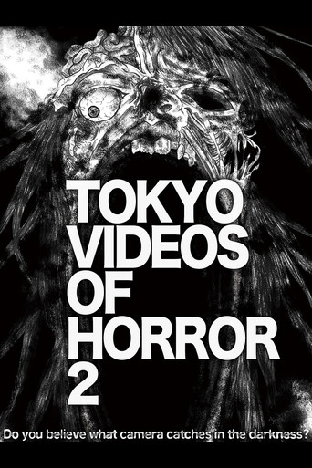 Tokyo Videos of Horror 2