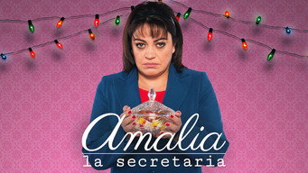 Galeria 3 - Amalia, la secretaria