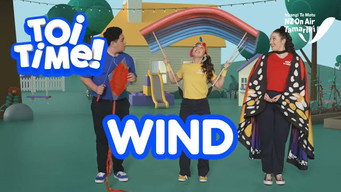 Episode 11 — Wind