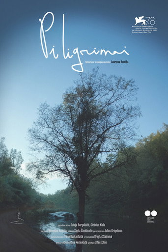 Pilgrims — Posters 18