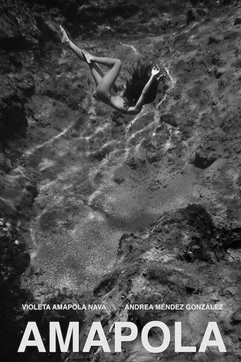 Amapola poster