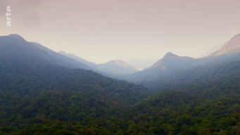 #30 Destination Wild: India