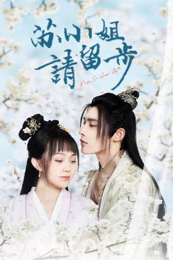 苏小姐请留步 poster