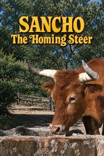 Cartell de Sancho, the Homing Steer
