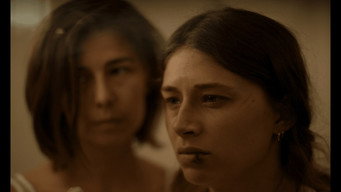 PROJECTION media image