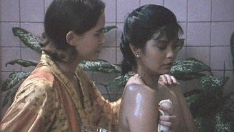 The Labyrinth of Love (1994)