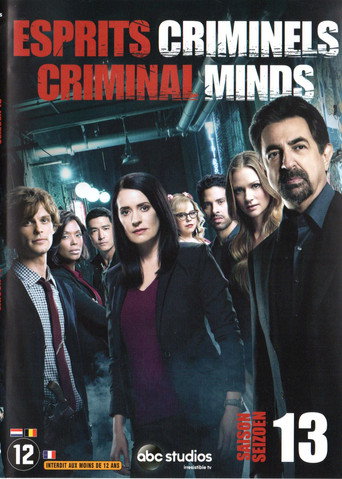 Esprits criminels - S13 - Poster