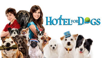 Galeria 2 - Hotel para perros