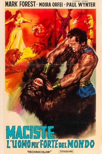 Poster 12