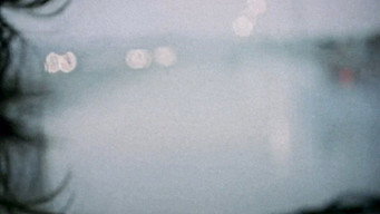 #36 Коричневий кролик