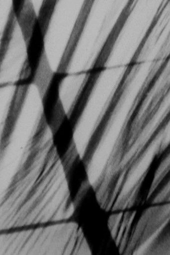 Between Glances poster