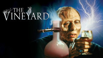 #12 The Vineyard