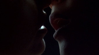 Galeria 5 - Lazos ardientes