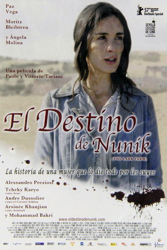 Poster de El destino de Nunik