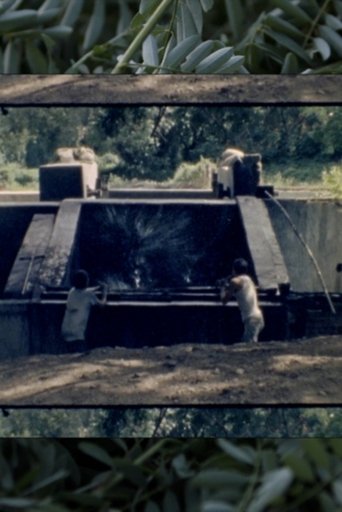 The New Indigo Wave poster