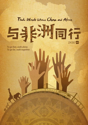 与非洲同行 poster