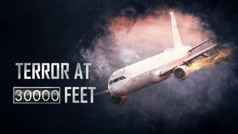 Terror at 30,000 Feet (2024)