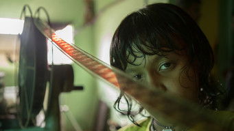 Galeria 1 - La última película