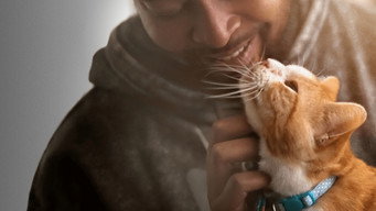 #6 Pets