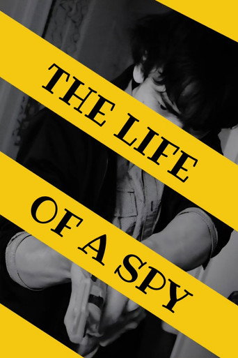 Poster 3