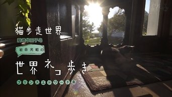 Episode 54