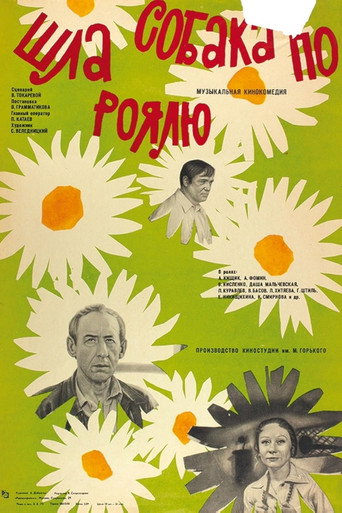 Affiche de Un chien marchait sur le piano
