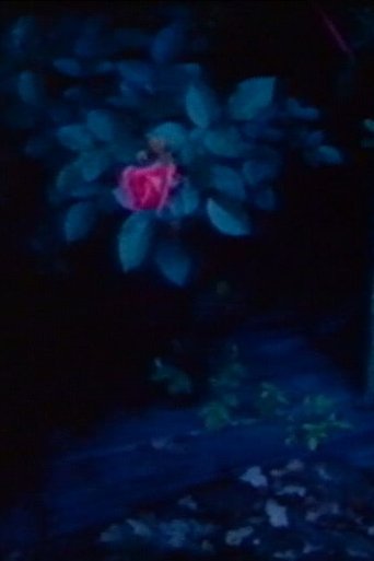 Ein Schlauchboot und Austern