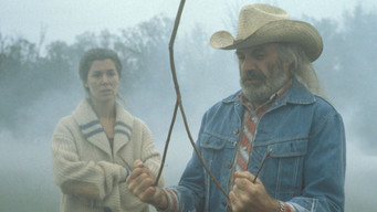 The Diviners (1993)