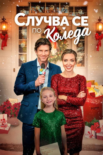 Постер на Случва се по Коледа
