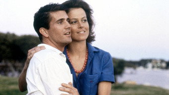 Still 11 from The Year of Living Dangerously