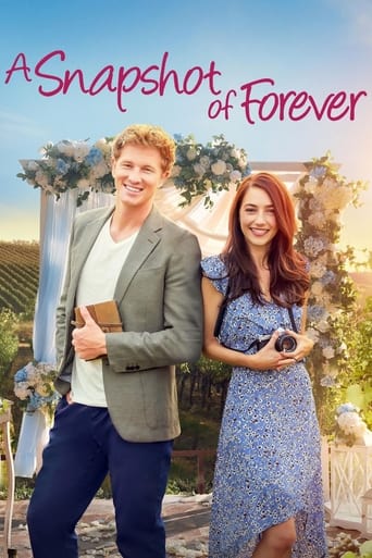 Poster of A Snapshot of Forever