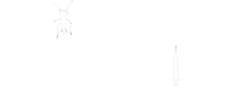 Mother, May I? logo