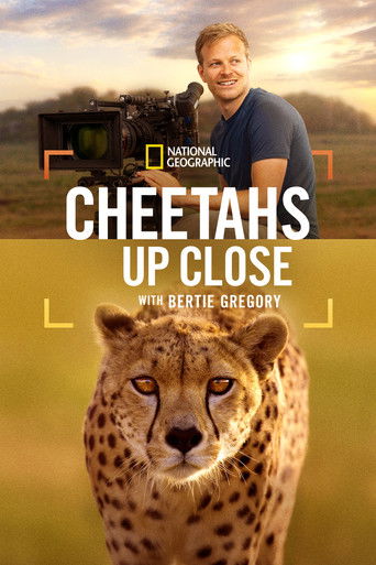 Cheetahs Up Close with Bertie Gregory (2026)