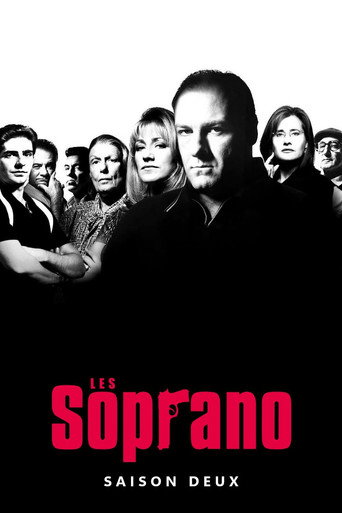 Les Soprano - S2 - Épisode 2 : Acharnement thérapeuthique - Affiche