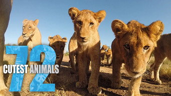 #4 72 Cutest Animals