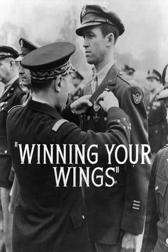 Poster of Winning Your Wings