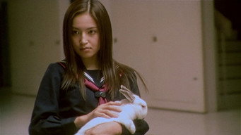 #66 Noriko's Dinner Table