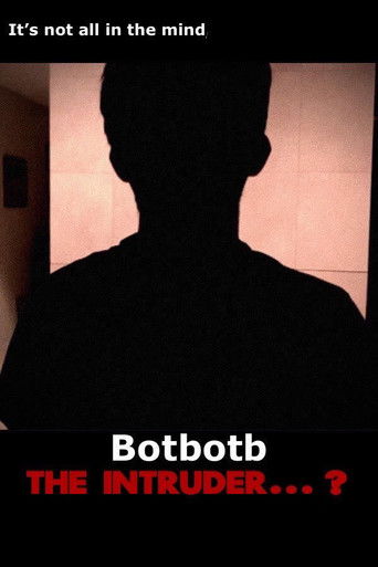 The Intruder...? poster