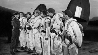 Operation Swallow: The Battle for Heavy Water (1948)