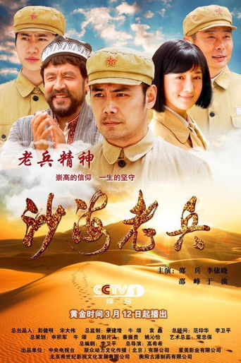 沙海老兵 poster