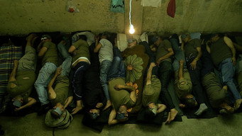 Tadmor (2016)