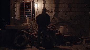 Auspice media image