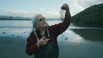 Seaweed Stories – Szenenbild
